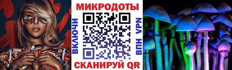 площадка клад  Дюртюли  Галлюциногенные грибы MAGIC MUSHROOMS 