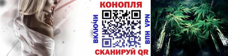 Конопля гибрид  Дюртюли 
